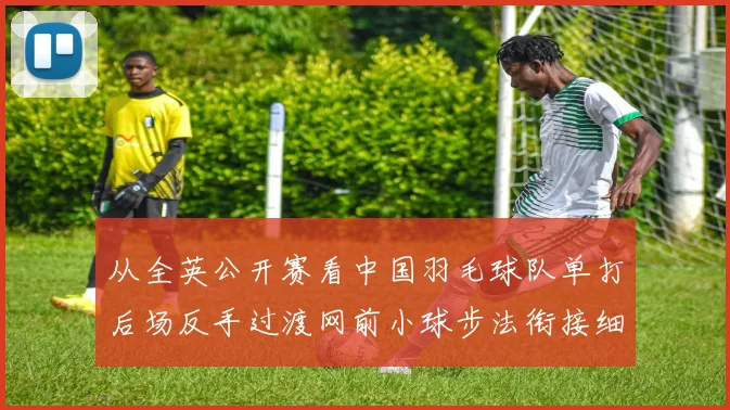 从全英公开赛看中国羽毛球队单打后场反手过渡网前小球步法衔接细节