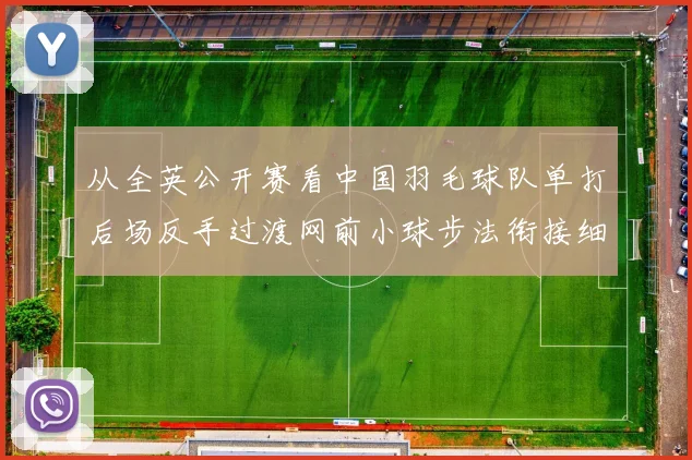 从全英公开赛看中国羽毛球队单打后场反手过渡网前小球步法衔接细节